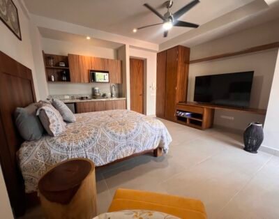 Camichin 301 (Rear Section B )